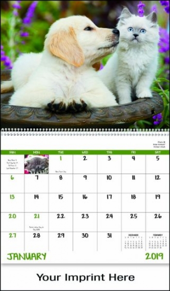 Dog & Cat Calendars
